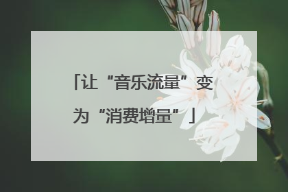 让“音乐流量”变为“消费增量”