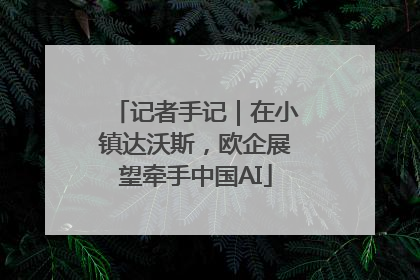 记者手记｜在小镇达沃斯，欧企展望牵手中国AI