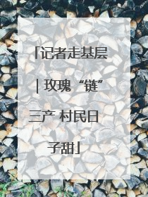 记者走基层｜玫瑰“链”三产 村民日子甜