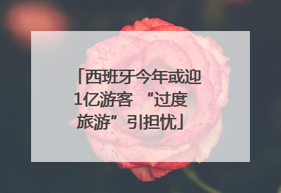 西班牙今年或迎1亿游客 “过度旅游”引担忧