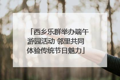 西乡乐群举办端午游园活动 邻里共同体验传统节日魅力