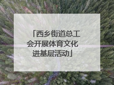 西乡街道总工会开展体育文化进基层活动