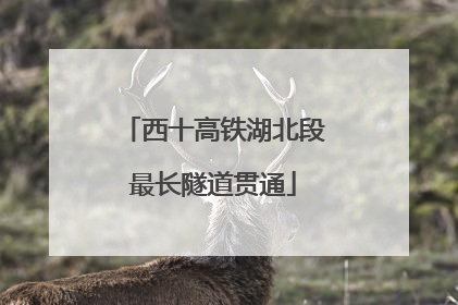 西十高铁湖北段最长隧道贯通