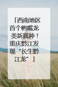 西南地区首个鸭嘴龙类新属种！重庆黔江发现“长生黔江龙”