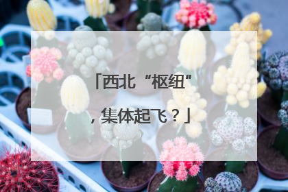 西北“枢纽”，集体起飞？