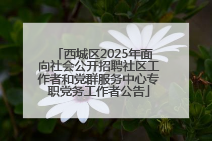 西城区2025年面向社会公开招聘社区工作者和党群服务中心专职党务工作者公告