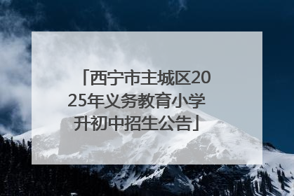 西宁市主城区2025年义务教育小学升初中招生公告