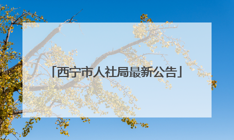 西宁市人社局最新公告
