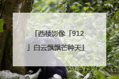 西楼影像「912」白云飘飘芒种天