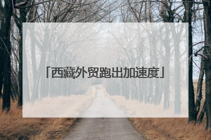 西藏外贸跑出加速度