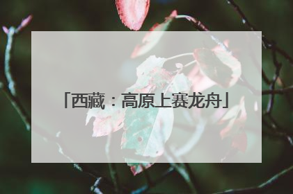 西藏：高原上赛龙舟