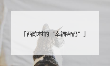 西陈村的“幸福密码”