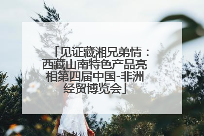 见证藏湘兄弟情：西藏山南特色产品亮相第四届中国-非洲经贸博览会