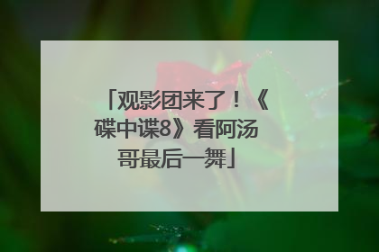 观影团来了！《碟中谍8》看阿汤哥最后一舞
