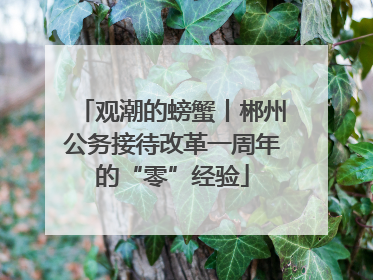 观潮的螃蟹丨郴州公务接待改革一周年的“零”经验