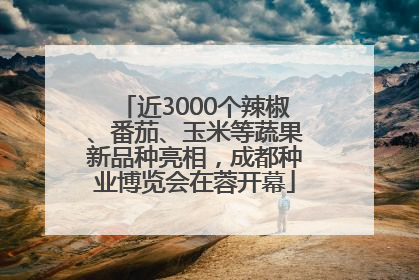 近3000个辣椒、番茄、玉米等蔬果新品种亮相，成都种业博览会在蓉开幕