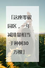 这座零碳园区，一年减排量相当于种树30万棵