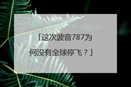这次波音787为何没有全球停飞？