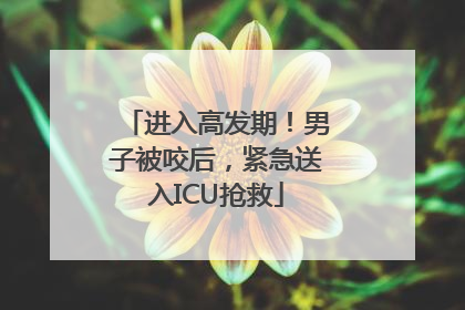 进入高发期！男子被咬后，紧急送入ICU抢救