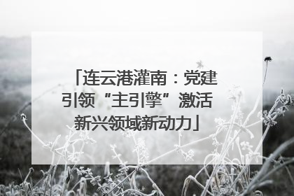 连云港灌南：党建引领“主引擎”激活新兴领域新动力