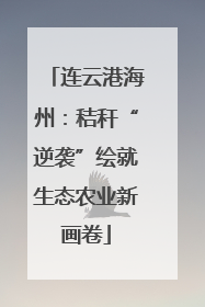 连云港海州：秸秆“逆袭”绘就生态农业新画卷