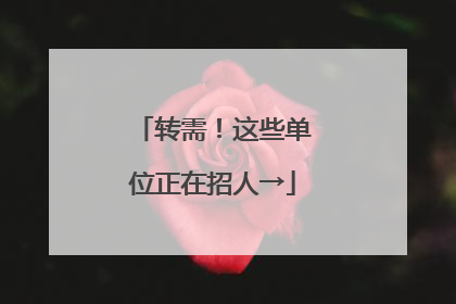 转需！这些单位正在招人→
