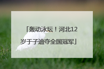 轰动泳坛！河北12岁于子迪夺全国冠军