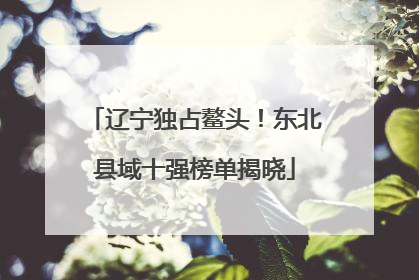 辽宁独占鳌头！东北县域十强榜单揭晓