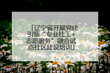 辽宁省开展党建引领“专业社工+志愿服务”融合试点社区建设培训