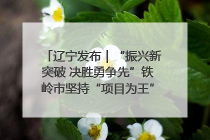 辽宁发布｜“振兴新突破 决胜勇争先”铁岭市坚持“项目为王”推进经济高质量发展