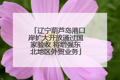 辽宁葫芦岛港口岸扩大开放通过国家验收 将增强东北地区外贸业务