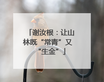 谢汝根：让山林既“常青”又“生金”