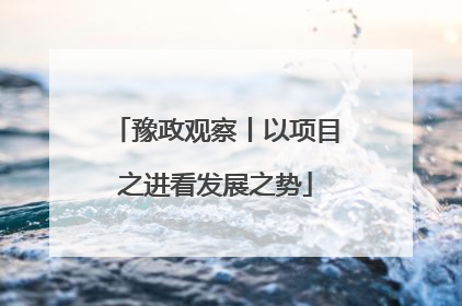 豫政观察丨以项目之进看发展之势