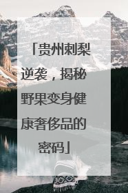 贵州刺梨逆袭，揭秘野果变身健康奢侈品的密码
