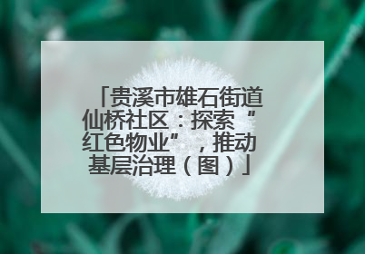 贵溪市雄石街道仙桥社区：探索“红色物业”，推动基层治理（图）