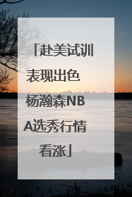 赴美试训表现出色 杨瀚森NBA选秀行情看涨