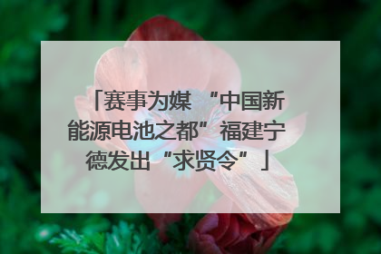 赛事为媒 “中国新能源电池之都”福建宁德发出“求贤令”