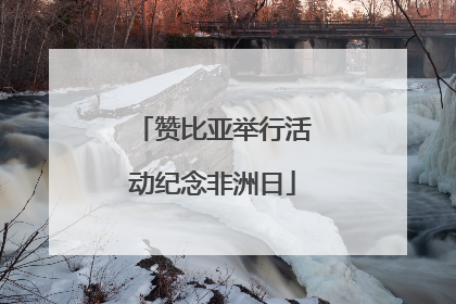 赞比亚举行活动纪念非洲日