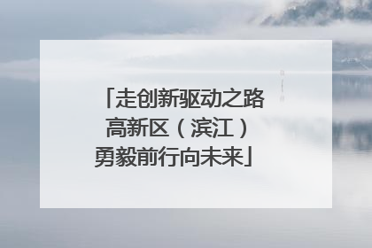 走创新驱动之路 高新区(滨江)勇毅前行向未来