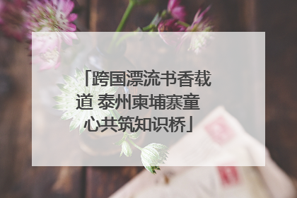 跨国漂流书香载道 泰州柬埔寨童心共筑知识桥