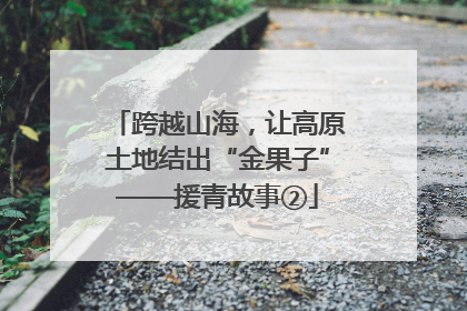 跨越山海，让高原土地结出“金果子”——援青故事②