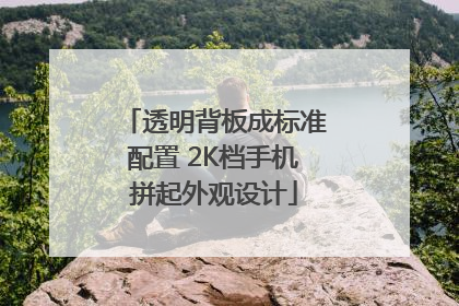 透明背板成标准配置 2K档手机拼起外观设计