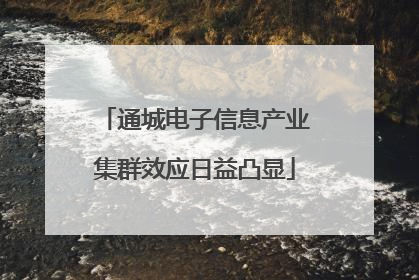 通城电子信息产业集群效应日益凸显