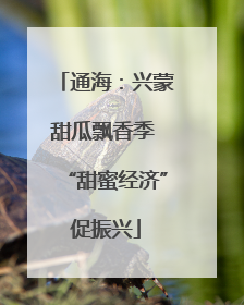 通海：兴蒙甜瓜飘香季 “甜蜜经济”促振兴
