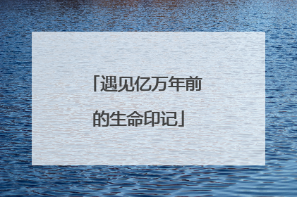 遇见亿万年前的生命印记