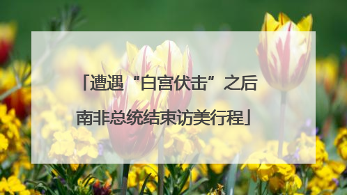 遭遇“白宫伏击”之后 南非总统结束访美行程