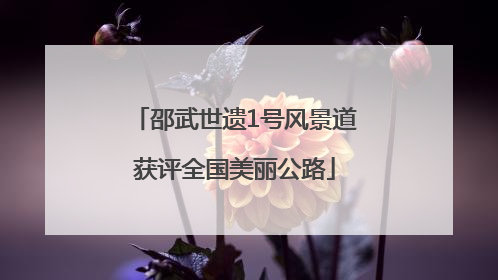 邵武世遗1号风景道获评全国美丽公路