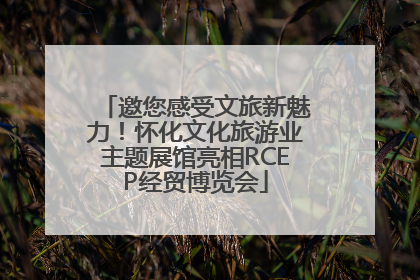 邀您感受文旅新魅力！怀化文化旅游业主题展馆亮相RCEP经贸博览会