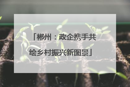 郴州：政企携手共绘乡村振兴新图景