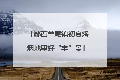 郧西羊尾镇初夏烤烟地里好“丰”景